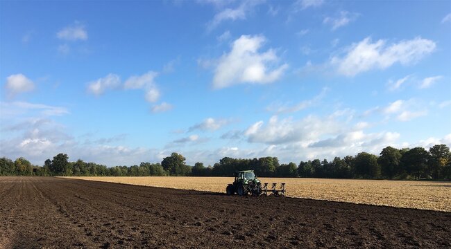 Traktor mit Pflug bearbeitet ein von B&auml;umen umgebenes gro&szlig;es Feld bei blauen Himmel