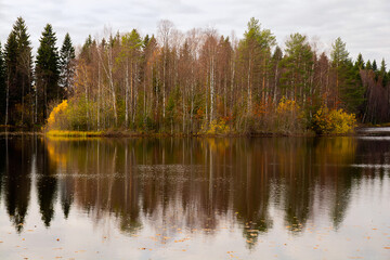 landscape, autumn view of the forest near the lake, reflection of trees on the water.