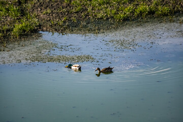 Réserve Naturelle du Haut Geer