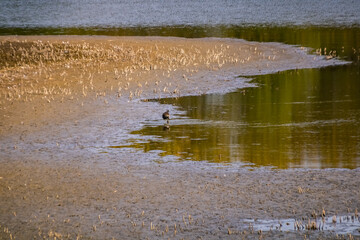 Réserve Naturelle du Haut Geer 