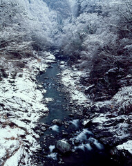 冬の荒川