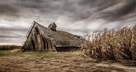 An old, wooden corn crib collapsed under its own weight. The barn is surrounded by a field of corn, ready for harvest as a storm clouds gather. Concepts of family farms, heartland, midwest - obrazy, fototapety, plakaty