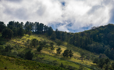 A mountain slope with green grass , trees lit by the beam of light
