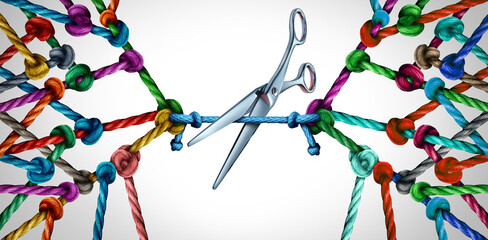 Cutting connections as a disconnect concept and dividing teams or losing group relationships as many different ropes tied and linked together as business trust metaphor with 3D illustration render. - obrazy, fototapety, plakaty