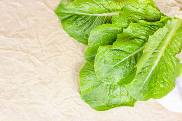 Top view of fresh raw green romaine lettuce leaves for salad on light background with copy space.