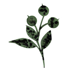 Hand drawn watercolor illustration with blueberries and leaves isolated on white. Perfect for greeting cards, postcards, logo, textile, fabric, packaging, wrapping paper and other design.

