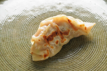 皿の上の一個の餃子