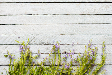 young grass purple lavender lies on an old wooden light blue background top view, with empty space under the text