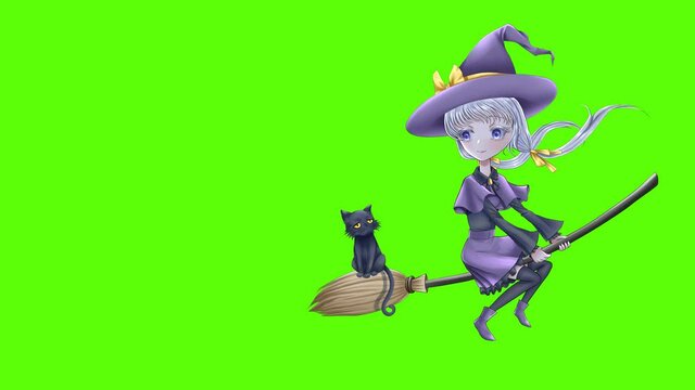 Halloween cartoon character. Cute smiley witch flying on a broom. And black cat. On green screen.