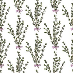 Seamless patterm thyme branches on white background vector illustration