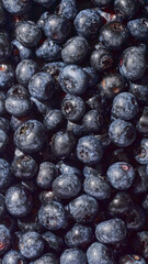 close up of blueberries
