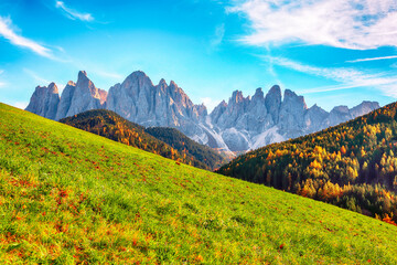 Autumn scene of  Santa Magdalena famous Italy Dolomites village view in front of the Geisler or Odle Dolomites Group mountain rocks.