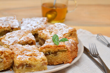 pieces of cake with icing sugar on a plate close-up