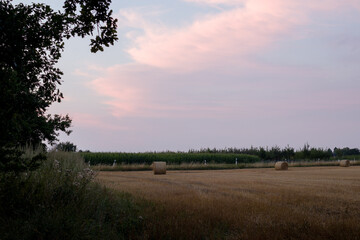 Fototapeta na wymiar The evening after sunset with a pinkish sky over a truncated field