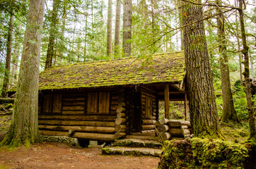 Sideview of Log Cabin - A mossy roof and rustic logs makes this cabin a park of the landscape along the trail