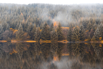 Autumn scene, mist over the trees next to the lake