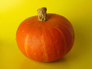 Pumpkin on a yellow background close up