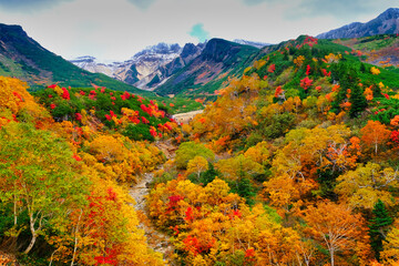 十勝岳温泉の紅葉