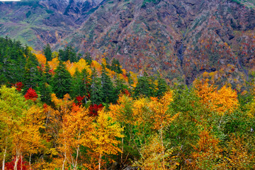 十勝岳温泉の紅葉