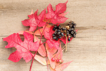 Autumn leaves with wild berries on a textured wooden surface.