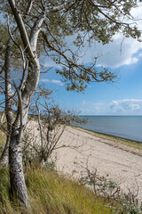 Strand bei Hedehusum, Utersum, Nordseeinsel Föhr