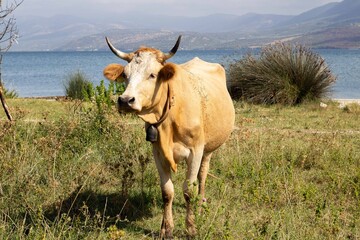 Puglia 2020 - Gargano