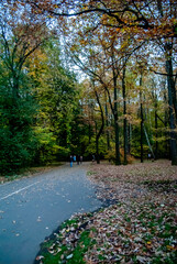 autumn in the park
