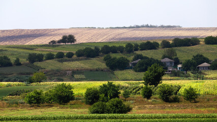 Fototapeta premium Nature scape of Moldova
