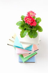 積まれた本とガーベラ