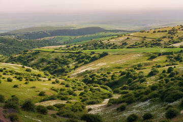 Scenic landscape to beautiful green hills with bushes and trees on a sunny day in Northern Iran