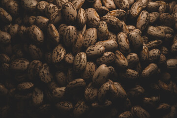 Pinto beans macro close up