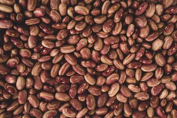 Naklejka premium Pinto beans macro close up