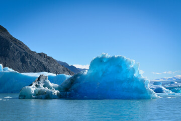 iceberg in polar regions