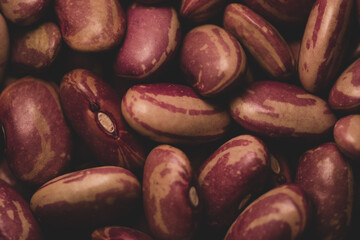 Pinto beans macro close up
