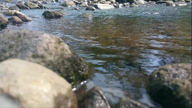 The flow of water is calm in a river with abundant water. a stream of water that flows between the natural stones. Rock Rapid in the Fast Splash of Water. Yogyakarta, Kali Opak. Snapshot in Full HD