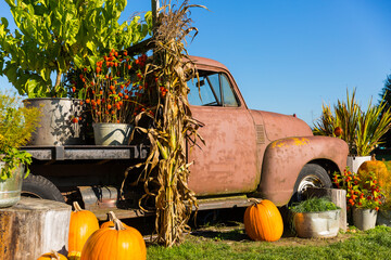 Autumn background on a farm © Tinatin