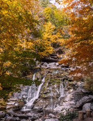 waterfall in autumn