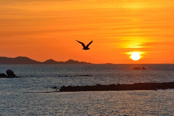 Beautiful sunset in Brittany. France