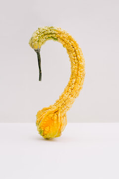 Gourd