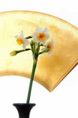 金色の和飾りバックにスイセンの一輪挿し