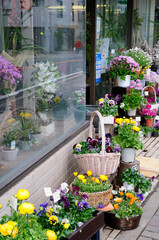 Fototapeta premium 花屋の店頭にある花