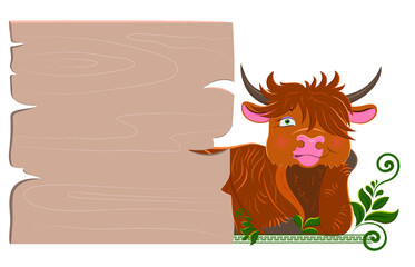 A funny cartoon Scottish long-haired bull lies behind a wooden signboard. Vector wooden board for lettering and design