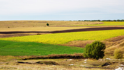 Fototapeta premium Nature scape of Moldova