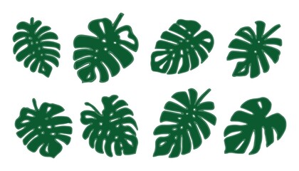  simple monstera leaves set. Set of green tropical Monstera leaves isolated on white background. 
