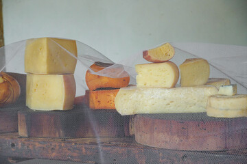 Variety of traditional cheese in a cheese farm store, dry aged cheeses