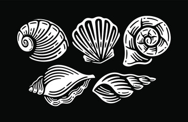 Seashells vector set. Collection of doodle sketches various mollusk sea shells.