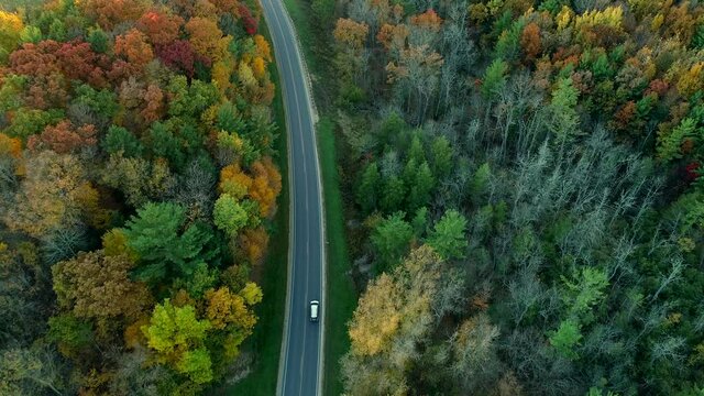 Aerial shot of minivan driving over scenic, hilly country roads during autumn in peak fall color season.