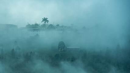 Obraz premium misty morning in the forest, foggy landscape of jerico colombia with palm tree in the background
