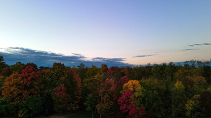 Beautiful Aerial Autumn leaves Foliage - aerial