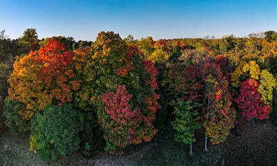 Fototapeta na wymiar Fall Leaves Beautiful Foliage Autumn - aerial